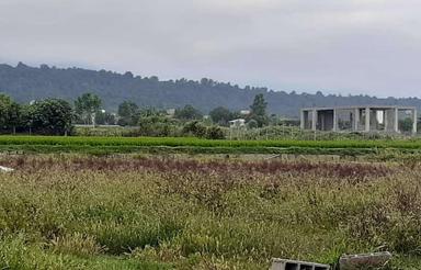 فروش زمین مسکونی 250 متر در پارک جنگلی نور