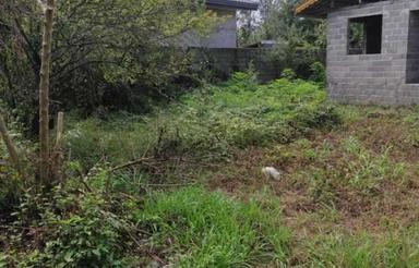 زمین مسکونی 1,013 متری در جاده اصلی