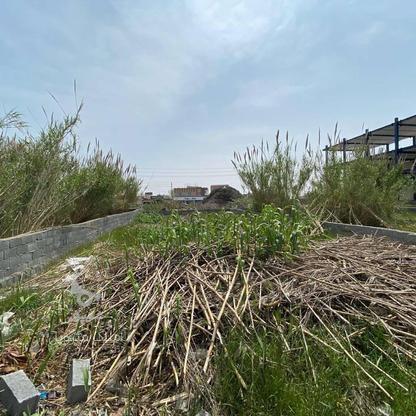 زمین ساحلی 205 متر داخل بافت سرخرود سنددار در گروه خرید و فروش املاک در مازندران در شیپور-عکس1