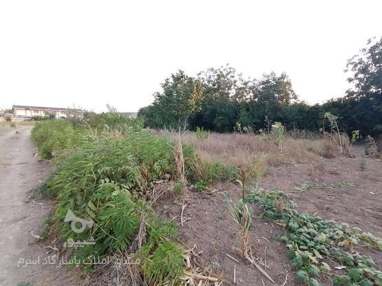 فروش زمین کشاورزی 220 متر در اسرم در گروه خرید و فروش املاک در مازندران در شیپور-عکس1