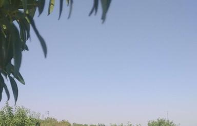 فروش 1000متر باغ بادام در مامونیه