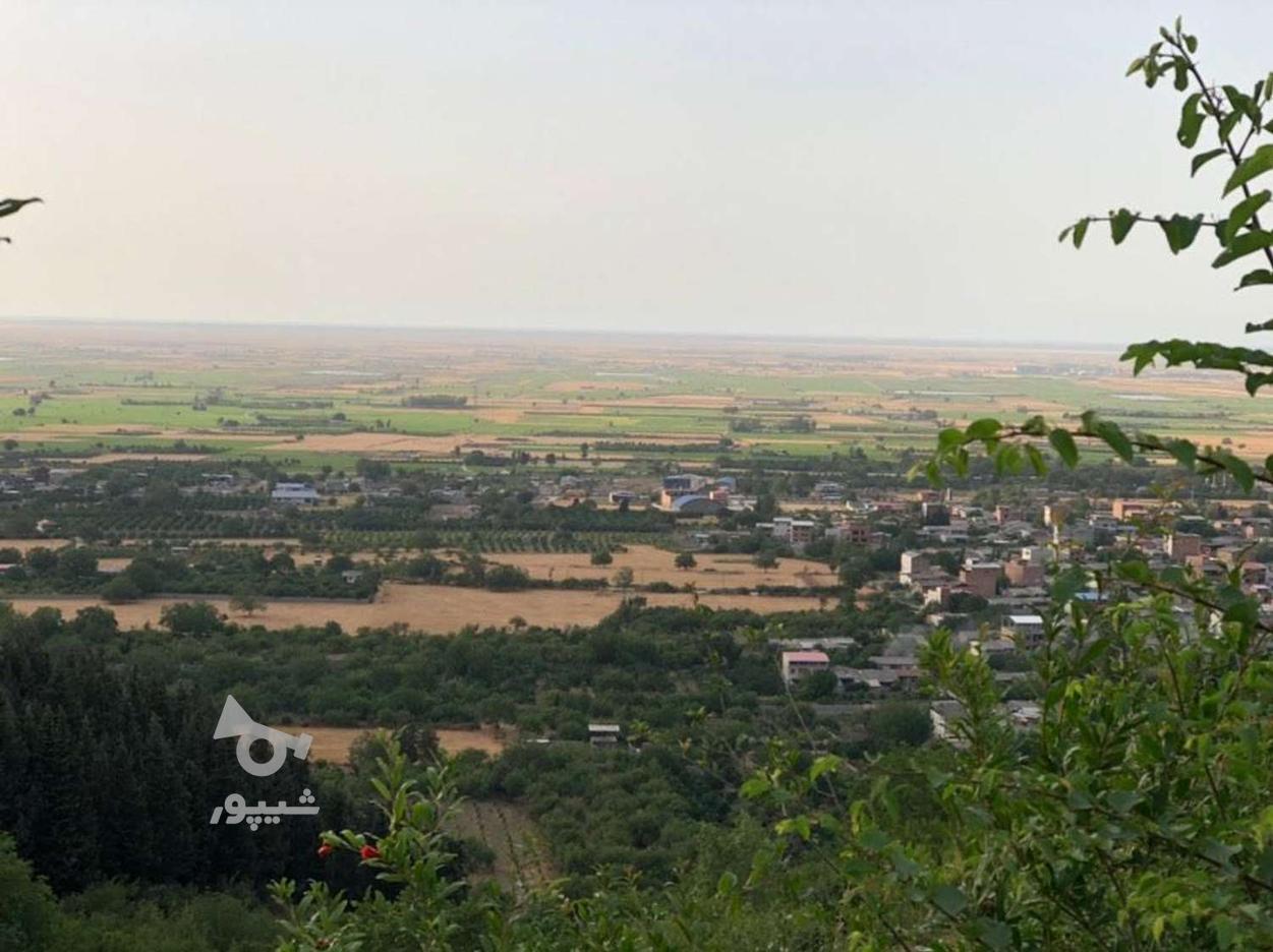 فروش زمین ویلایی در بام بهشهر در گروه خرید و فروش املاک در مازندران در شیپور-عکس1