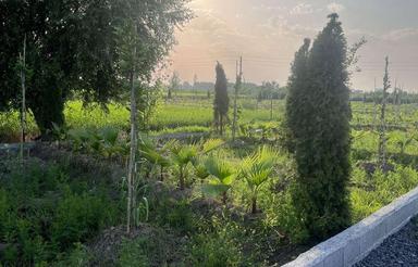 فروش زمین 130 متر در بیشه کلا سرمایه گذاری شهرکی