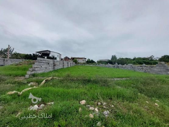فروش زمین مسکونی 205 متر در سیاه کلا سرخرود در گروه خرید و فروش املاک در مازندران در شیپور-عکس1