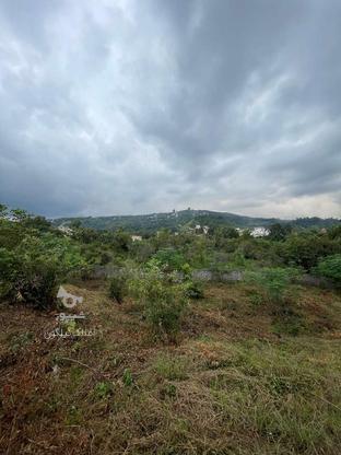فروش زمین 980 متری باغات در کتالم در گروه خرید و فروش املاک در مازندران در شیپور-عکس1