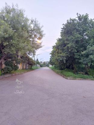 فروش زمین مسکونی 580 متر در بلوار معلم در گروه خرید و فروش املاک در مازندران در شیپور-عکس1