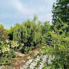 فروش ویلا 240 متر در بهدشت