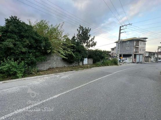 فروش زمین سند دار 303 متری با کاربری مسکونی در گروه خرید و فروش املاک در مازندران در شیپور-عکس1