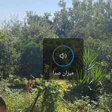فروش زمین مسکونی 411 متری داخل بافت در زرویجان دارای سند