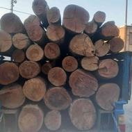 خریدار چوب صنعتی و ذغالی و ریشه درخت