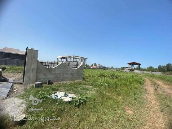 فروش زمین مسکونی 250 متر در ساحلی در گروه خرید و فروش املاک در گیلان در شیپور-عکس1