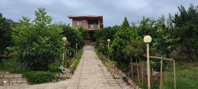 فروش ویلا باغ 1000 متر در وارد محله اقاقیا در گروه خرید و فروش املاک در مازندران در شیپور-عکس1