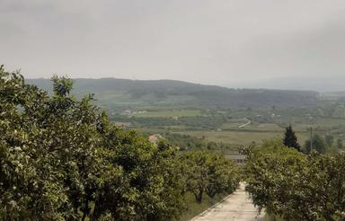 فروش زمین مسکونی 450متر در تنگ لته