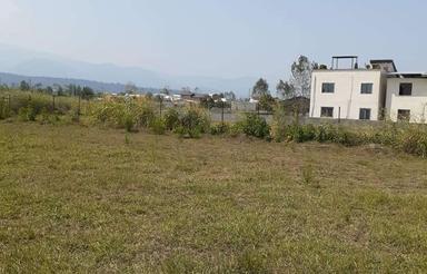 فروش زمین مسکونی 300 متر در همصفا/ ویو جالب و جذاب جنگل 