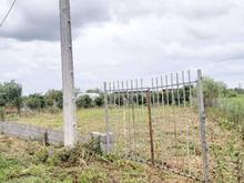 فروش زمین کشاورزی 493 متر در هادی کیاشهر در شیپور