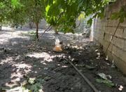 فروش زمین مسکونی 210 متر در کیاکلا مناسب سرمایه گذاری