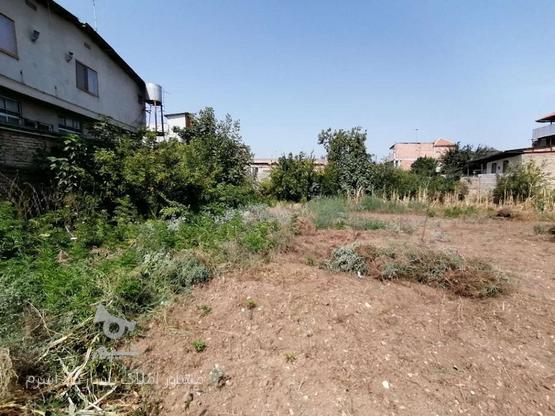 فروش زمین مسکونی 158 متر در اسرم در گروه خرید و فروش املاک در مازندران در شیپور-عکس1