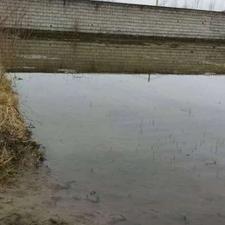 فروش و معاوضه 800 متر زمین چاف