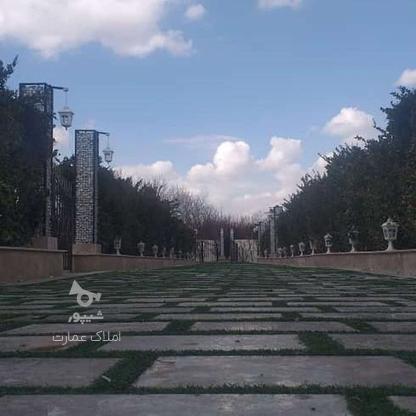 فروش باغچه 250 متر مشجر چهار دیوار سند تک برگ بکه در گروه خرید و فروش املاک در تهران در شیپور-عکس1