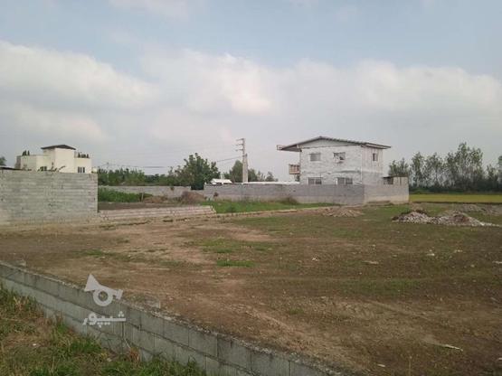 فروش زمین مسکونی 1200 متری با قابلیت ساخت در گروه خرید و فروش املاک در مازندران در شیپور-عکس1
