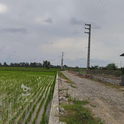 فروش زمین250 متر در جاده قائمشهر ابتدای هریکنده در گروه خرید و فروش املاک در مازندران در شیپور-عکس1