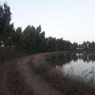 فروش زمین کشاورزی 70000 متر در نفت چال