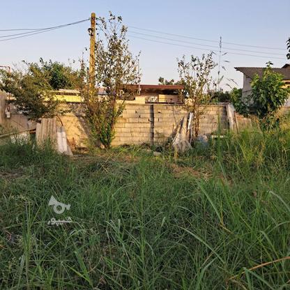 فروش زمین مسکونی 120 متر در روشندان بهنمیر در گروه خرید و فروش املاک در مازندران در شیپور-عکس1