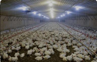 فروش دامداری و کشاورزی