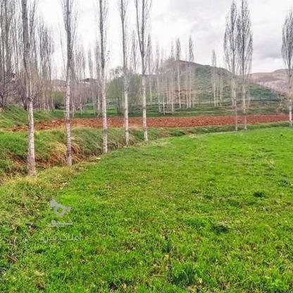 فروش زمین کشاورزی 2100 متر در آبسرد در گروه خرید و فروش املاک در تهران در شیپور-عکس1