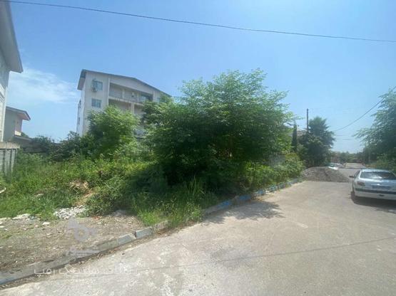 زمین شهرکی سند دار مسکونی 310 متری در گروه خرید و فروش املاک در مازندران در شیپور-عکس1