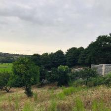 زمین 1000 متر منطقه سرسبز کولا با چشم انداز زیبا