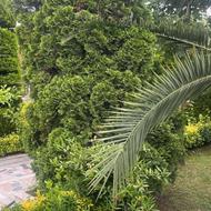 فروش زمین مسکونی 780 متر در قشقایی