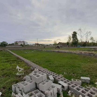 فروش زمین مسکونی 205 متر درشهر خشکبیجار در گروه خرید و فروش املاک در گیلان در شیپور-عکس1