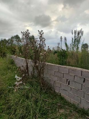 زمین مناسب برای سرمایه‌گذاری و باغچه 220متر در گروه خرید و فروش املاک در مازندران در شیپور-عکس1