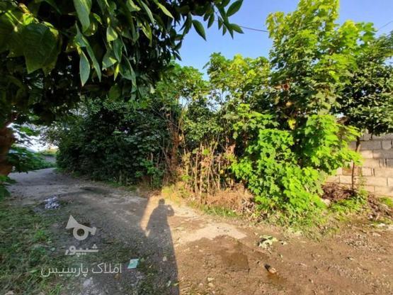 فروش زمین مسکونی 200 متر در چناربن در گروه خرید و فروش املاک در مازندران در شیپور-عکس1