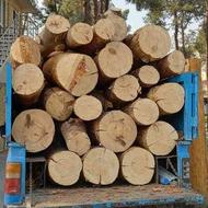 خریدار چوب ،خرید چوب ،هرس، چوب هیزمی ،صنعتی،درخت کاج،برشدرخت