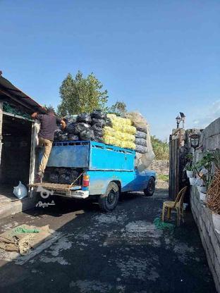 زغال کبابی صنعتی در گروه خرید و فروش خدمات و کسب و کار در گیلان در شیپور-عکس1