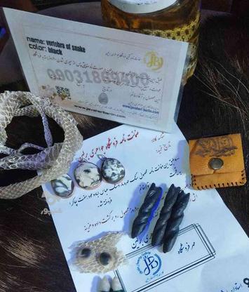 مهره مار اصل موریس در گروه خرید و فروش لوازم شخصی در کرمان در شیپور-عکس1