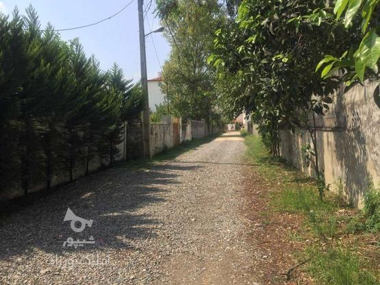 فروش زمین مسکونی 1000 متر در شریعتی در گروه خرید و فروش املاک در مازندران در شیپور-عکس1