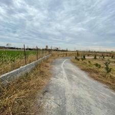 الحاق به بافت کاربری باغی با مجوز + شرایط اقساط 150متر