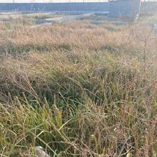 زمین 232 متری در مداءنی