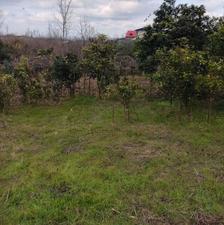 فروش زمین مسکونی 200 متر در سلیمان آباد