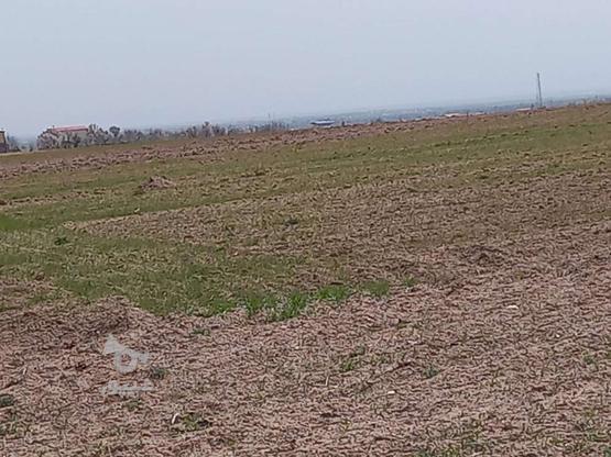 زمین کشاورزی سند دار نزدیک روستا در گروه خرید و فروش املاک در قزوین در شیپور-عکس1