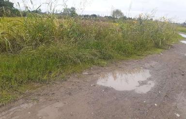 زمین کشاورزی 1500 متر درروستا(رودمیانه)رودسر