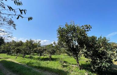 330 متر زمین دو نبش منطقه عالی