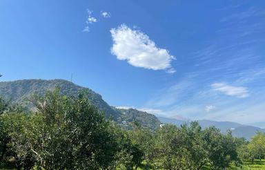 فروش زمین مسکونی 300 متر در مرکز شهر