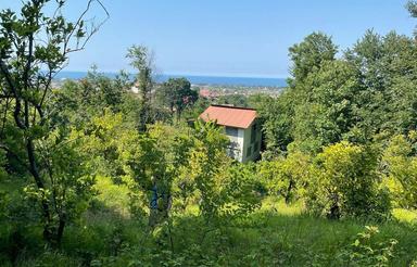 فروش زمین مسکونی 1500 متر در مرکز شهر