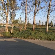 فروش زمین مسکونی 300 متر در خیابان محبوبی