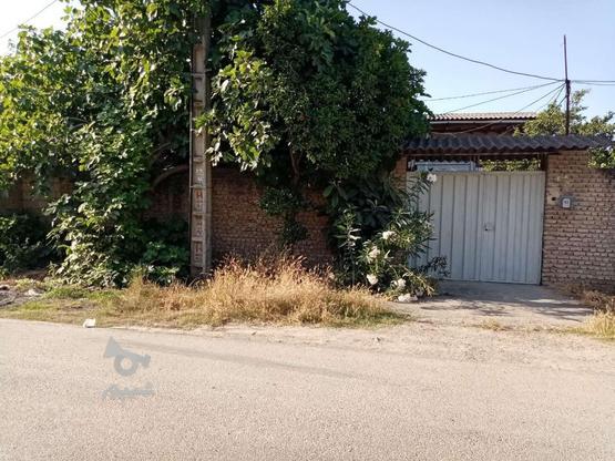 فروش زمین به متراژ 200 متر مربع در صفرآباد ساری در گروه خرید و فروش املاک در مازندران در شیپور-عکس1