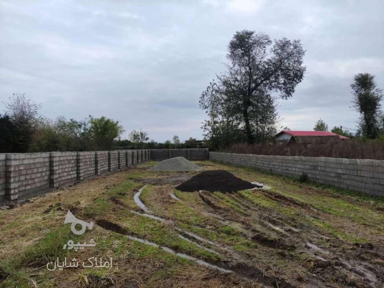 زمین مسکونی 520متر در تالش روستای درازآلو در گروه خرید و فروش املاک در گیلان در شیپور-عکس1